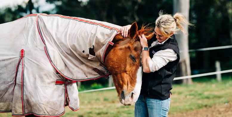 A volunteer embracing a rescued chestnut horse wearing a rug in a paddock